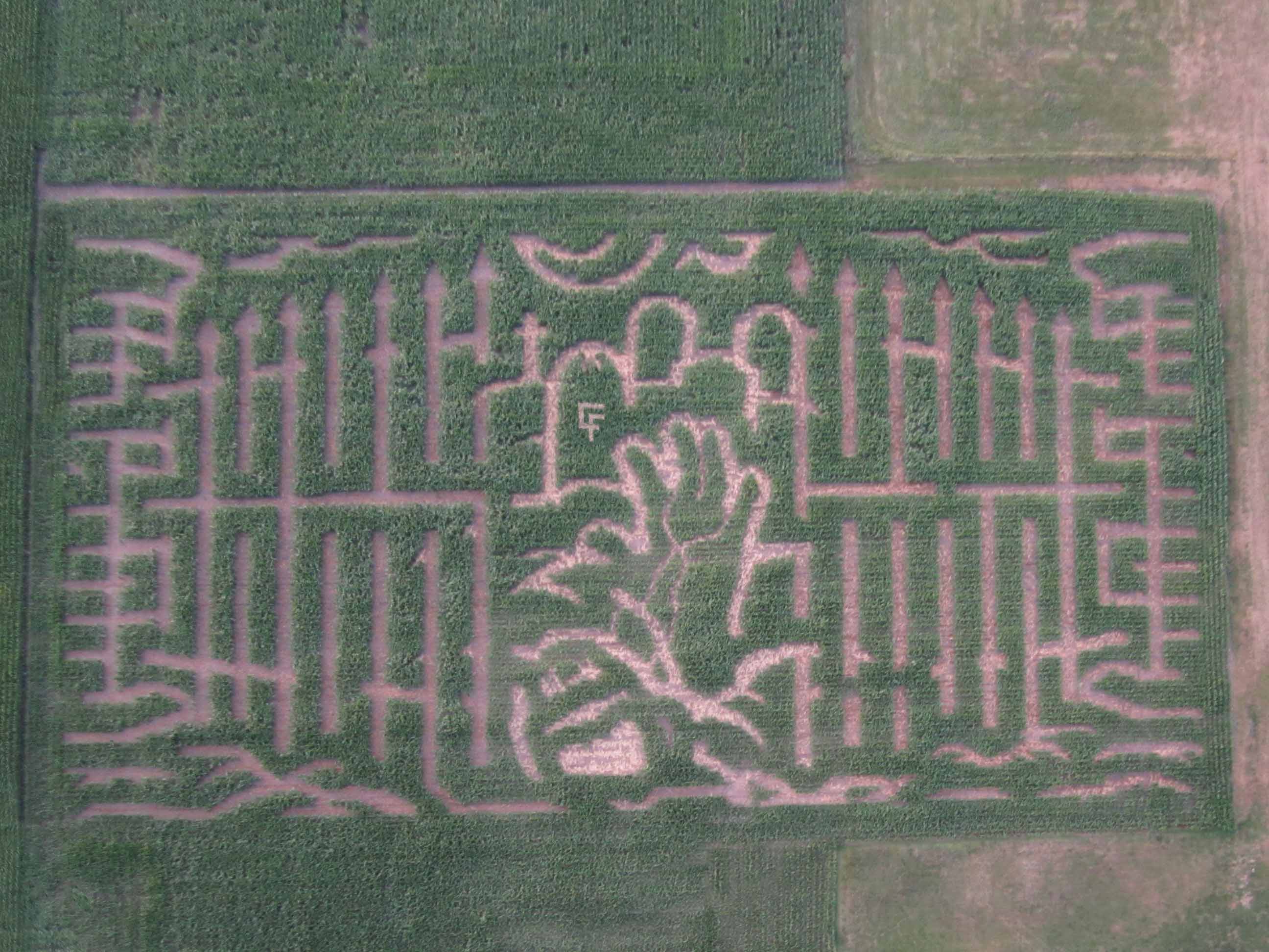 The Dead Matter movie-themed corn maze at Carter Farms